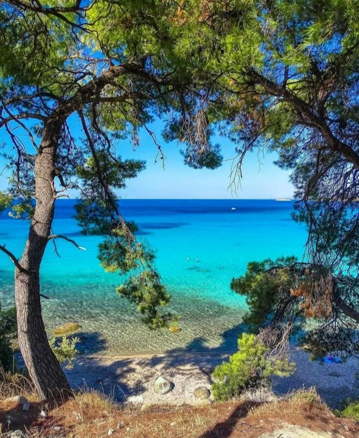 Agrili Apartments & Rooms Elia Nikitis Dış mekan fotoğraf